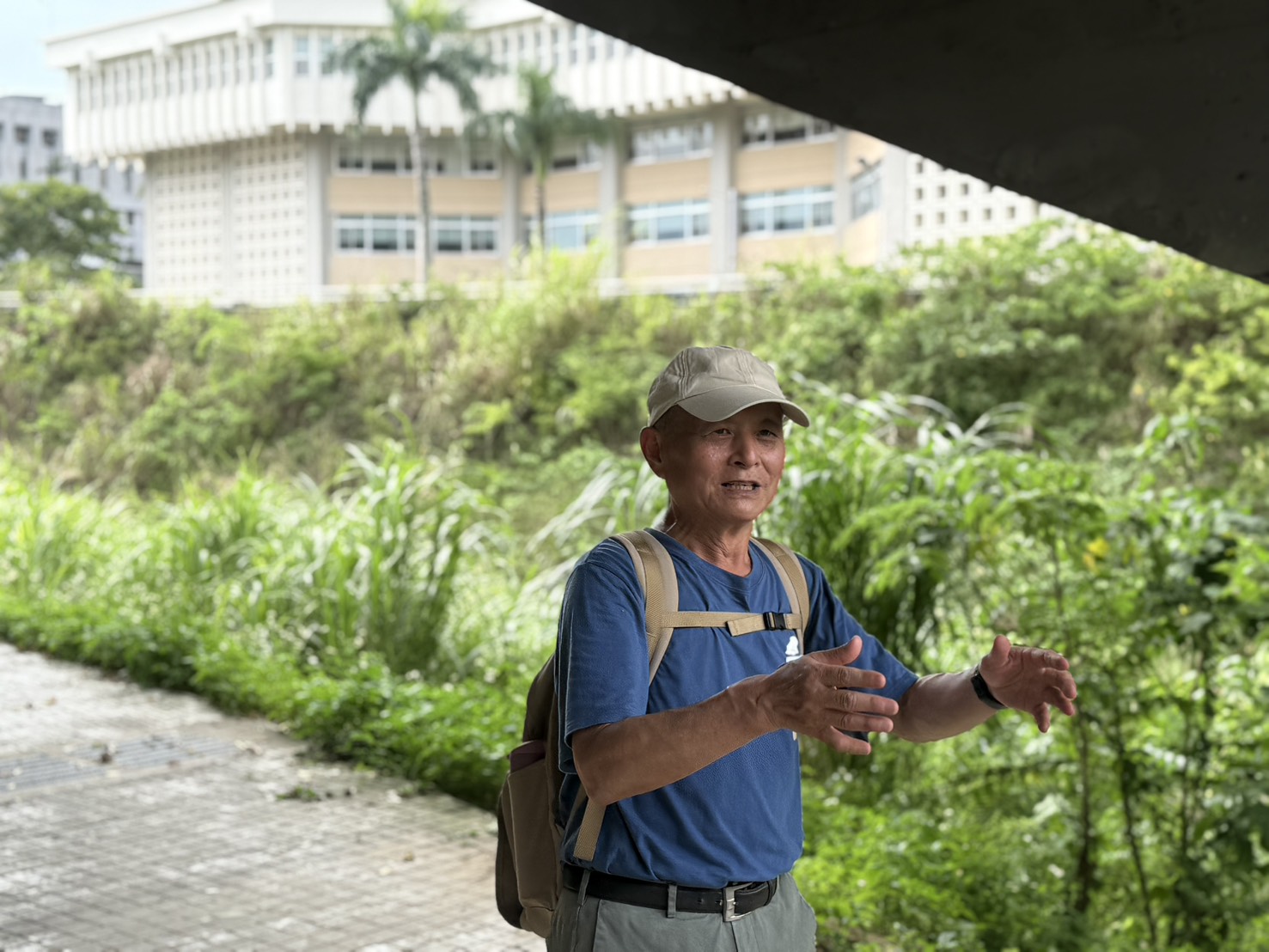 鐵觀音節走讀　國立政治大學林間步道探索